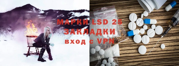 молекула духа Магадан