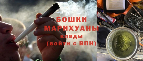 молекула духа Магадан