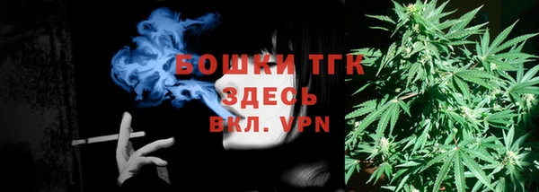 молекула духа Магадан