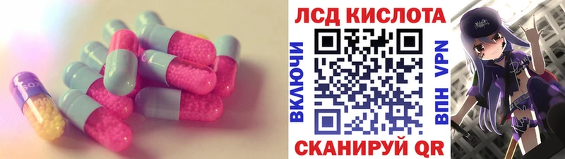 kraken как зайти Новохопёрск ЛСД экстази кислота