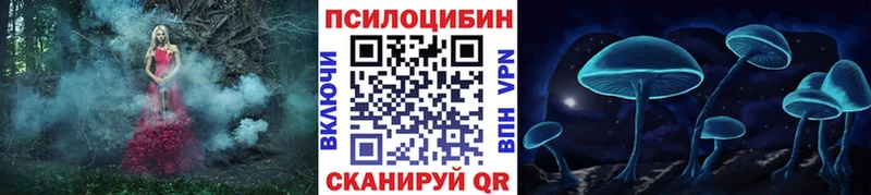 как найти закладки  Новохопёрск  Псилоцибиновые грибы GOLDEN TEACHER 
