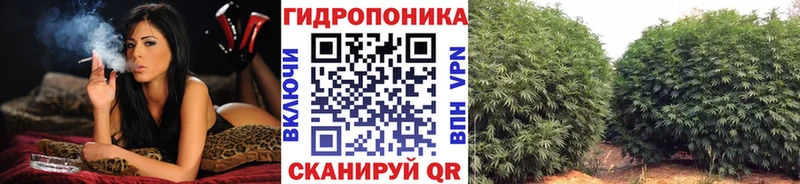 MEGA ТОР Новохопёрск Конопля планчик